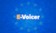 E-Voicer